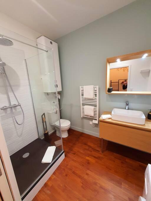 T2 Calme Vieux Tours Basilique Apartment Екстериор снимка